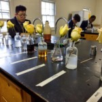 ScienceExperimentFlowers-1