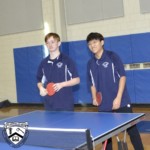 ping-pong